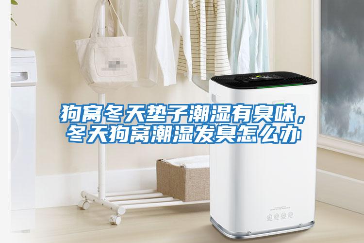 狗窩冬天墊子潮濕有臭味，冬天狗窩潮濕發(fā)臭怎么辦