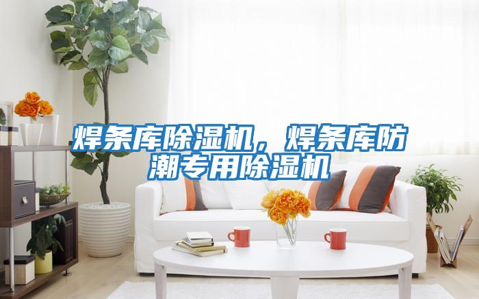 焊條庫除濕機，焊條庫防潮專(zhuān)用除濕機