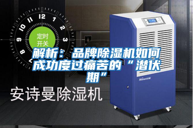 解析：品牌除濕機如何成功度過(guò)痛苦的“潛伏期”