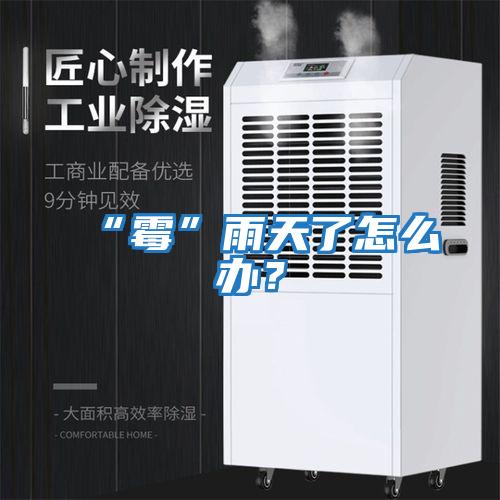 “霉”雨天了怎么辦？