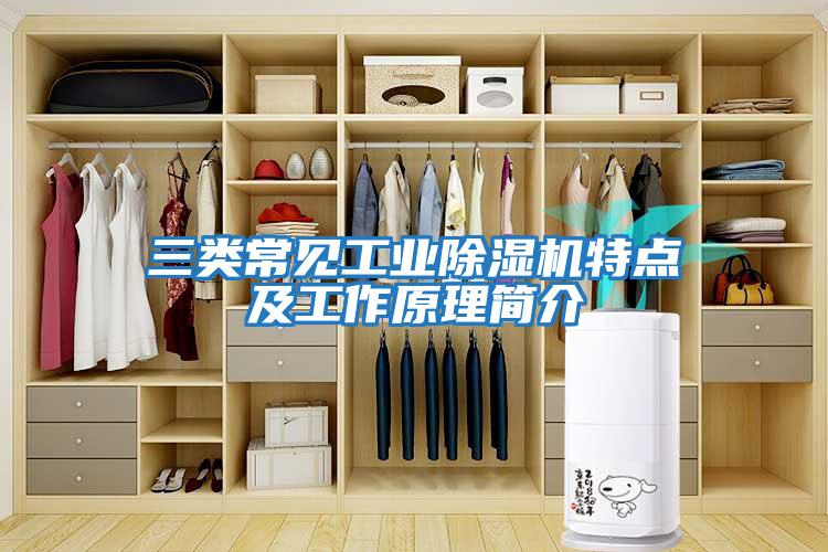 三類(lèi)常見(jiàn)工業(yè)除濕機特點(diǎn)及工作原理簡(jiǎn)介