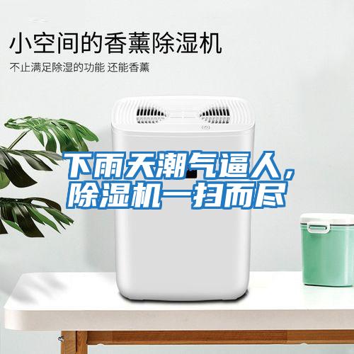 下雨天潮氣逼人，除濕機一掃而盡