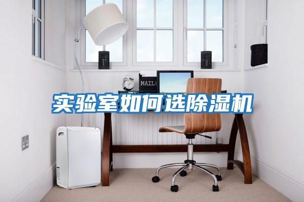 實(shí)驗室如何選除濕機