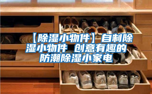 【除濕小物件】自制除濕小物件 創(chuàng  )意有趣的防潮除濕小家電