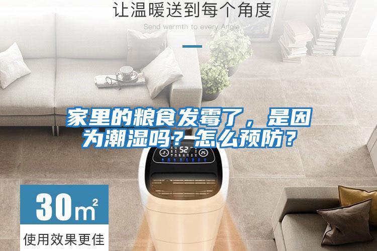 家里的糧食發(fā)霉了，是因為潮濕嗎？怎么預防？