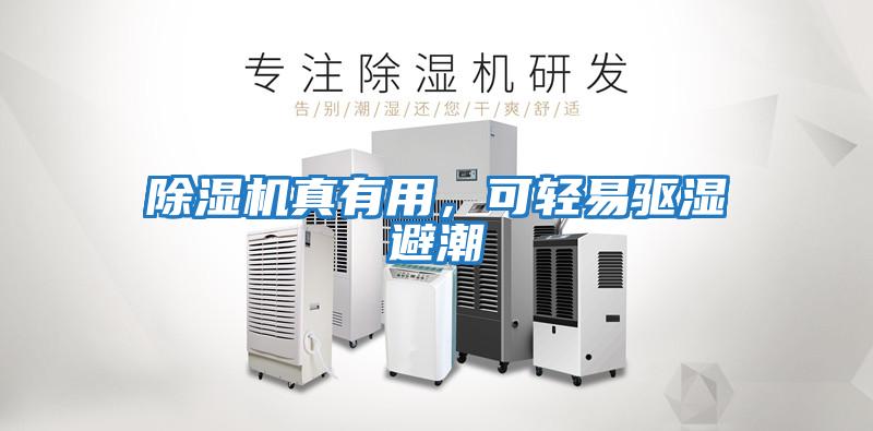 除濕機真有用，可輕易驅濕避潮