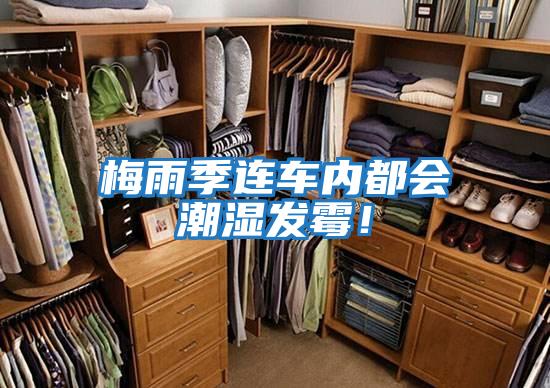 梅雨季連車(chē)內都會(huì )潮濕發(fā)霉！