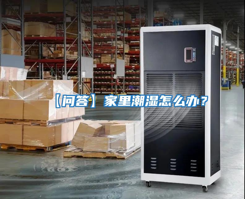 【問(wèn)答】家里潮濕怎么辦？
