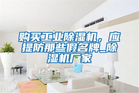 購買(mǎi)工業(yè)除濕機，應提防那些假名牌_除濕機廠(chǎng)家