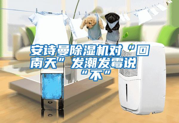 安詩(shī)曼除濕機對“回南天”發(fā)潮發(fā)霉說(shuō)“不”