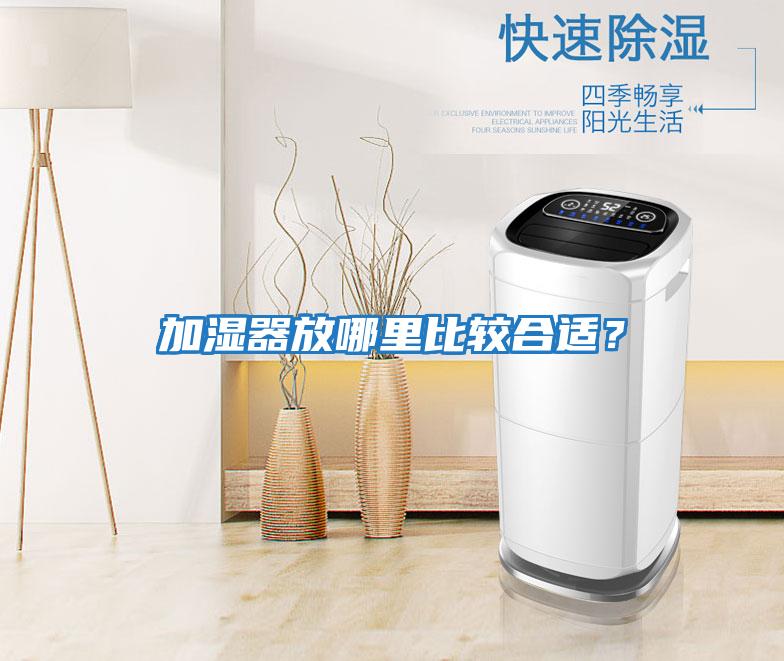 加濕器放哪里比較合適？
