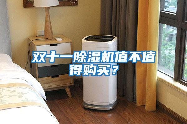 雙十一除濕機值不值得購買(mǎi)？