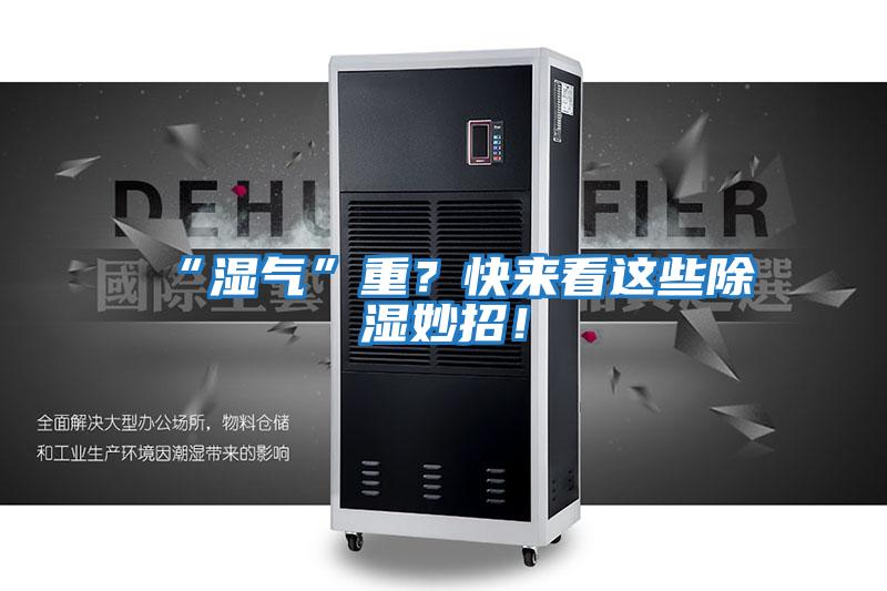 “濕氣”重？快來(lái)看這些除濕妙招！