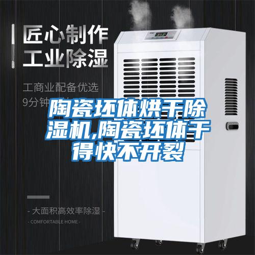 陶瓷坯體烘干除濕機,陶瓷坯體干得快不開(kāi)裂