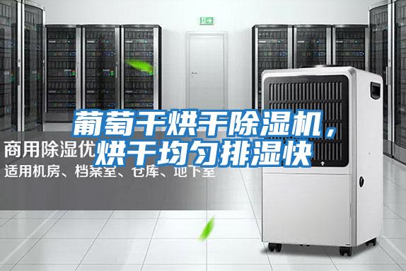 葡萄干烘干除濕機，烘干均勻排濕快