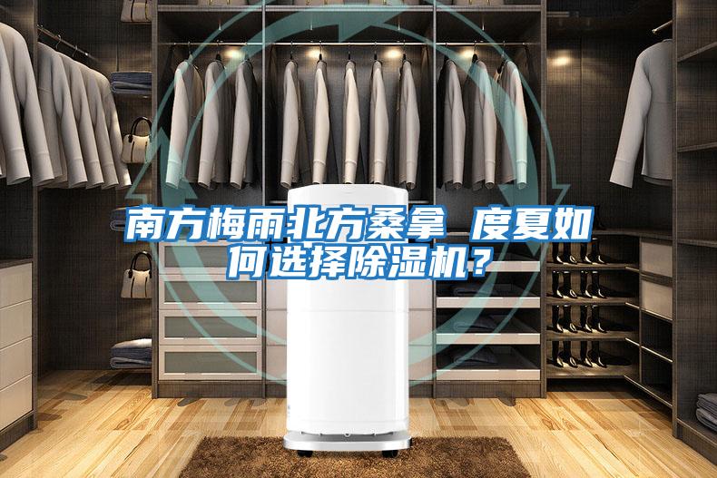 南方梅雨北方桑拿 度夏如何選擇除濕機？