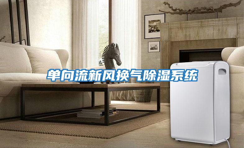 單向流新風(fēng)換氣除濕系統