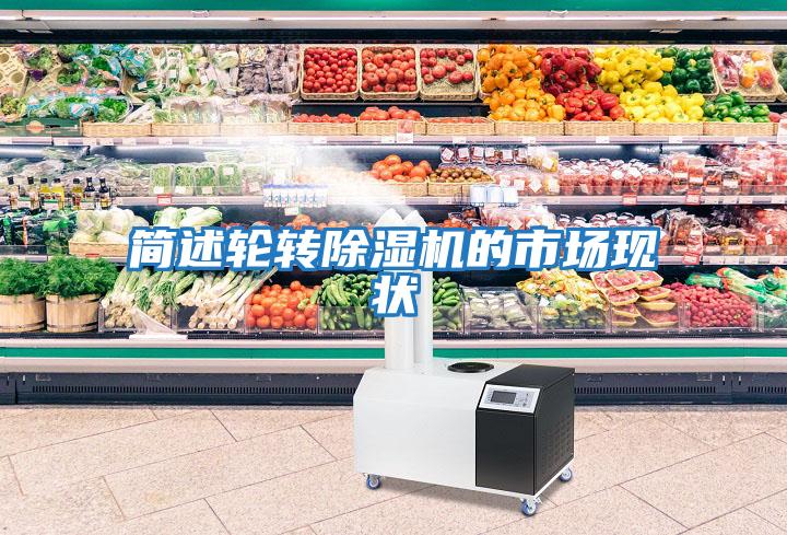 簡(jiǎn)述輪轉除濕機的市場(chǎng)現狀