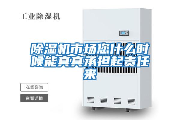 除濕機市場(chǎng)您什么時(shí)候能真真承擔起責任來(lái)