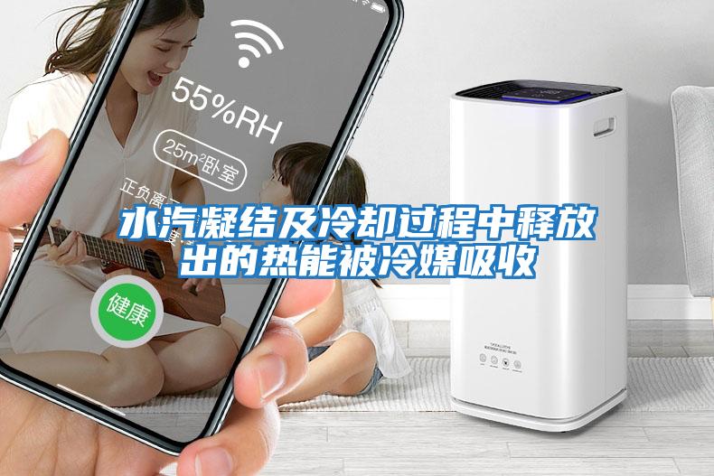 水汽凝結及冷卻過(guò)程中釋放出的熱能被冷媒吸收