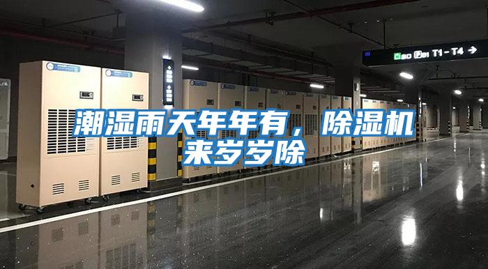 潮濕雨天年年有，除濕機來(lái)歲歲除