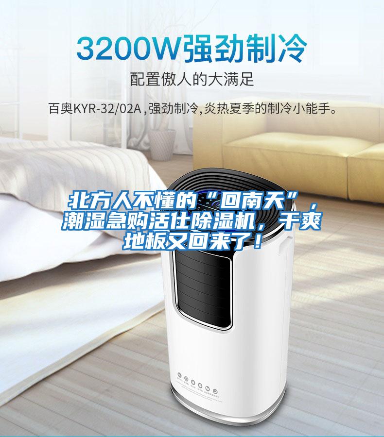 北方人不懂的“回南天”，潮濕急購活仕除濕機，干爽地板又回來(lái)了！