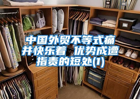 中國外貿不等式痛并快樂(lè )著(zhù) 優(yōu)勢成遭指責的短處(1)