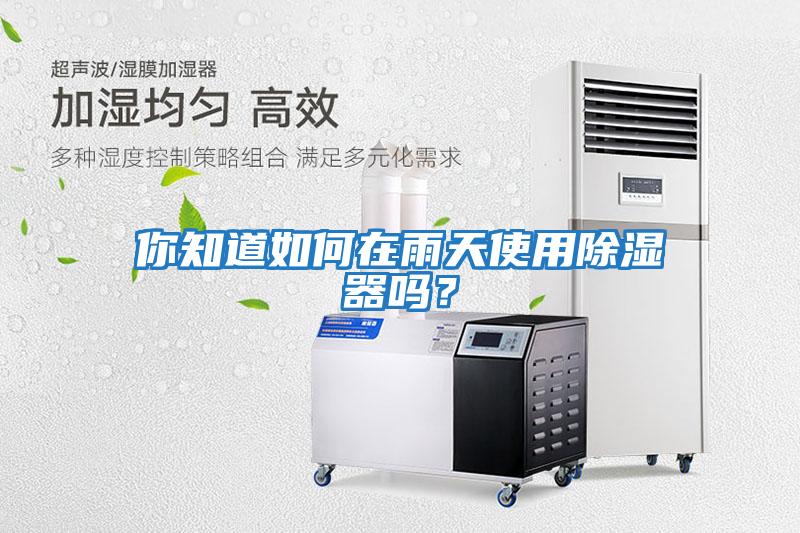 你知道如何在雨天使用除濕器嗎？