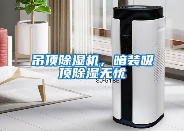 吊頂除濕機，暗裝吸頂除濕無(wú)憂(yōu)