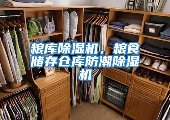 糧庫除濕機，糧食儲存倉庫防潮除濕機