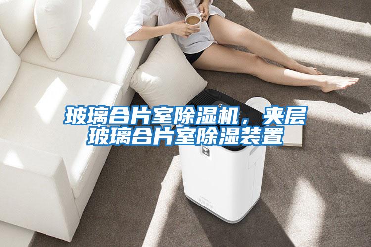 玻璃合片室除濕機，夾層玻璃合片室除濕裝置