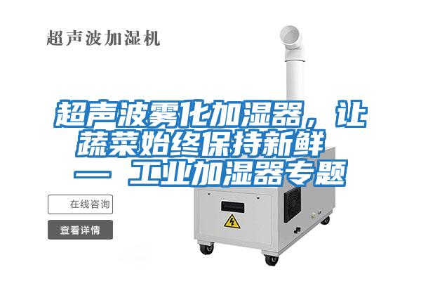 超聲波霧化加濕器，讓蔬菜始終保持新鮮 — 工業(yè)加濕器專(zhuān)題