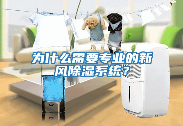 為什么需要專(zhuān)業(yè)的新風(fēng)除濕系統？