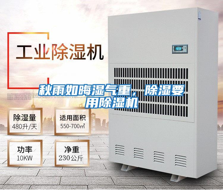 秋雨如晦濕氣重，除濕要用除濕機
