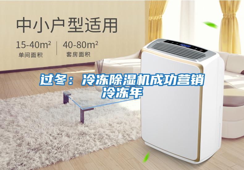 過(guò)冬：冷凍除濕機成功營(yíng)銷(xiāo)冷凍年