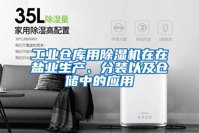 工業(yè)倉庫用除濕機在在鹽業(yè)生產(chǎn)、分裝以及倉儲中的應用