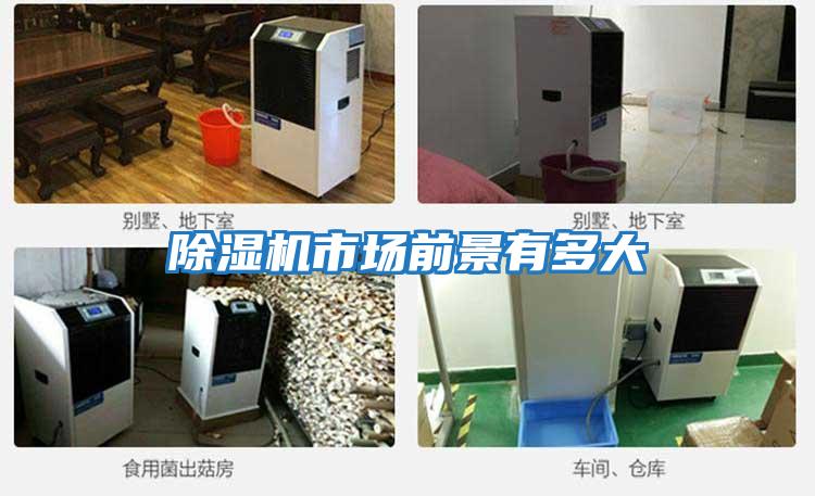 除濕機市場(chǎng)前景有多大