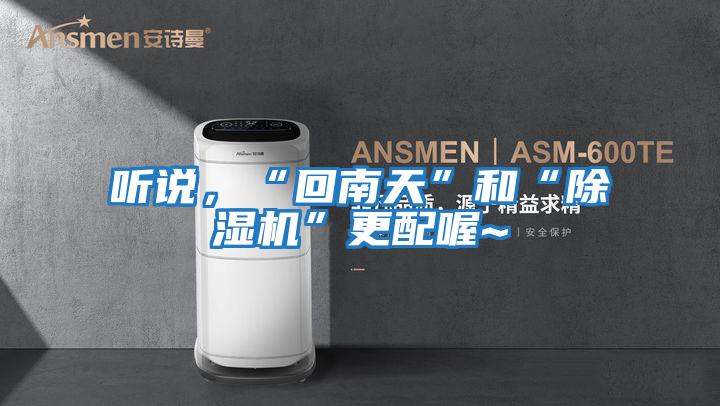 聽(tīng)說(shuō)，“回南天”和“除濕機”更配喔~