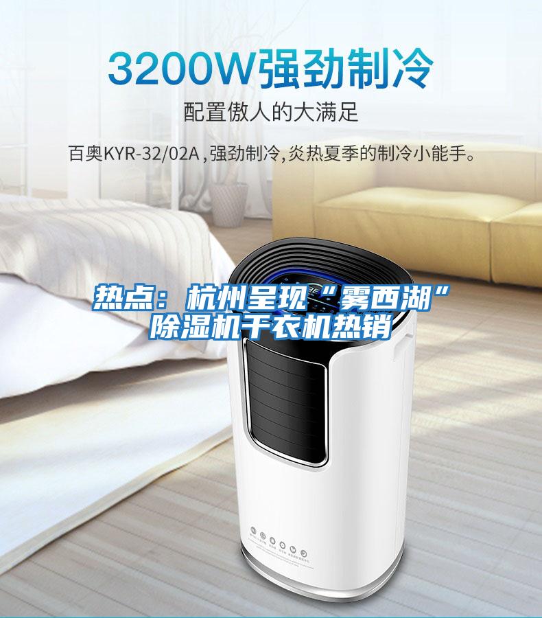 熱點(diǎn)：杭州呈現“霧西湖”除濕機干衣機熱銷(xiāo)