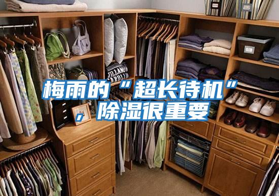 梅雨的“超長(cháng)待機”，除濕很重要