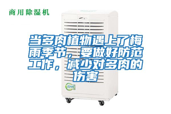 當多肉植物遇上了梅雨季節，要做好防范工作，減少對多肉的傷害