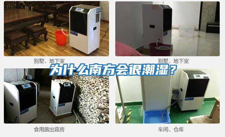 為什么南方會(huì )很潮濕？