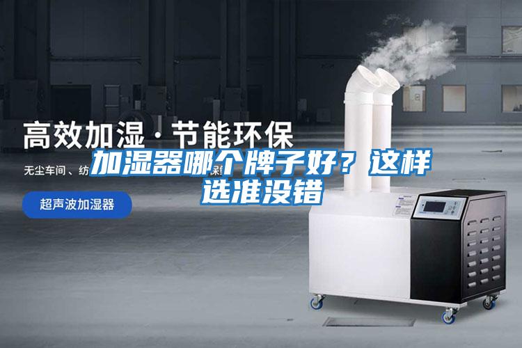 加濕器哪個(gè)牌子好？這樣選準沒(méi)錯