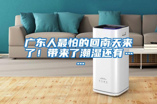 廣東人最怕的回南天來(lái)了！帶來(lái)了潮濕還有……