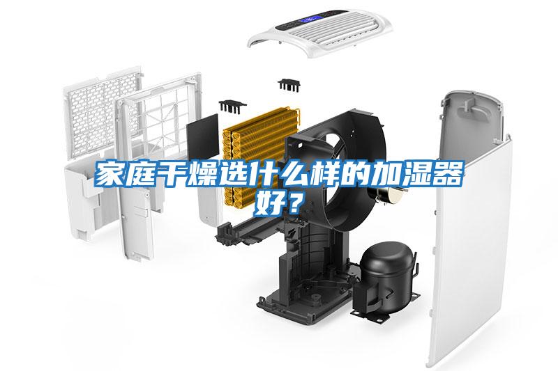 家庭干燥選什么樣的加濕器好？