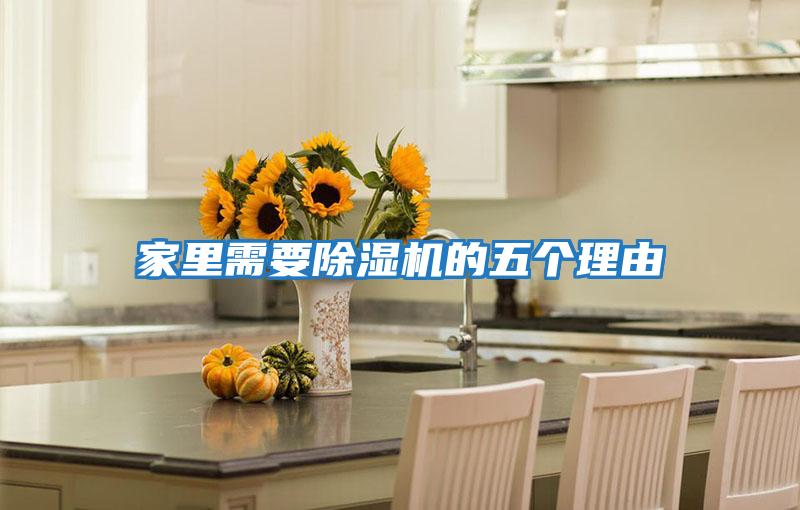 家里需要除濕機的五個(gè)理由