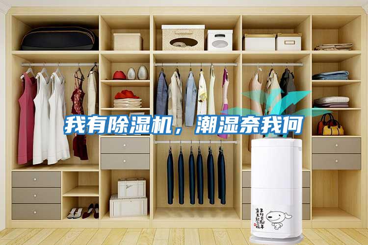 我有除濕機，潮濕奈我何