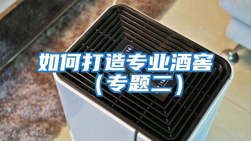 如何打造專(zhuān)業(yè)酒窖（專(zhuān)題二）