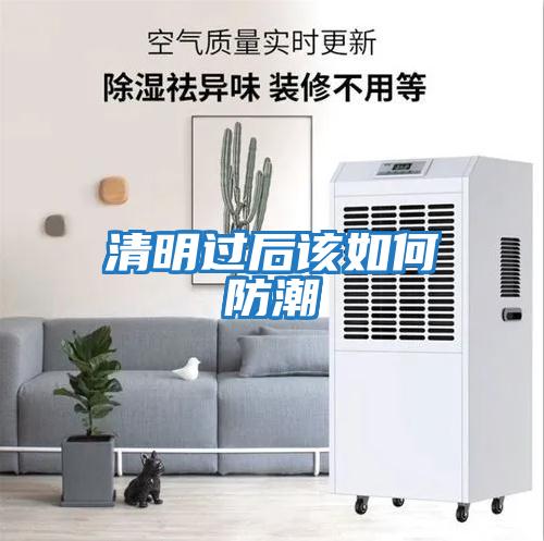 清明過(guò)后該如何防潮
