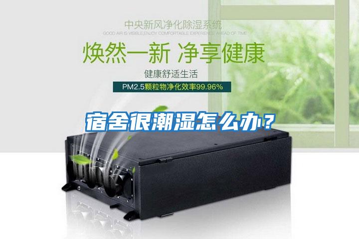 宿舍很潮濕怎么辦？